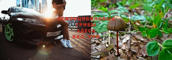 соль курить ск Билибино