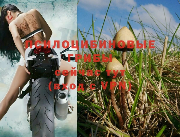 соль курить ск Билибино