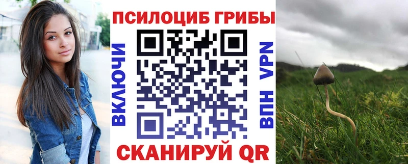 Галлюциногенные грибы мухоморы  OMG как зайти  Рыльск  сколько стоит 